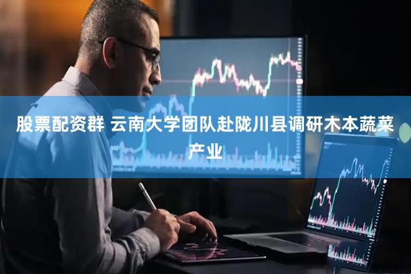 股票配资群 云南大学团队赴陇川县调研木本蔬菜产业